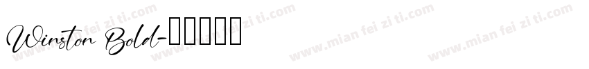 Winston Bold字体转换